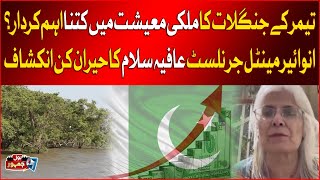 How important is the role of Mangroves forests in country's economy? Ft. Aafia Salam | BOL Jamhoor