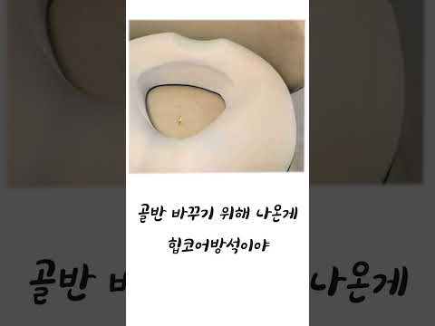 2026년 2월 25일