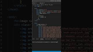 Create Responsive Image Gallery Using HTML and CSS | #Hindi