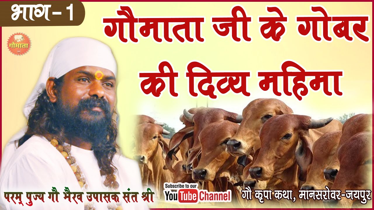 गौमाता जी के गोबर की दिव्य महिमा - ( भाग 1 ) GauBhairav Upasak Sant Shri Jagdish Gopal Ji Maharaj