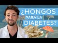 🍄¿HONGOS para la DIABETES? 🍄 Estos puedes consumir ☝🏻