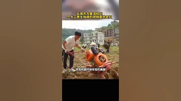 云南农大男生拍视频宣传母校被吐槽是“招生减章”，学院回应：尊重其创意 - DayDayNews