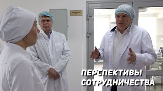 Перспективы Сотрудничества. «Фат-Агро» И «Дмитровские Овощи»