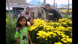 KELUARGA EF