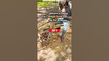 Welcome to making an osage bow everyday for 30 minutes | day 9