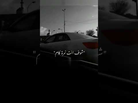 شوف انت نمرة كام تصميمي    السعودية العراق فلسطين وائل كفوري 