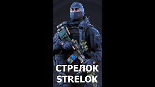Калибр. Caliber. СТРЕЛОК. STRELOK. #shorts screenshot 5