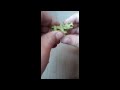 dinosaur surprise egg opening