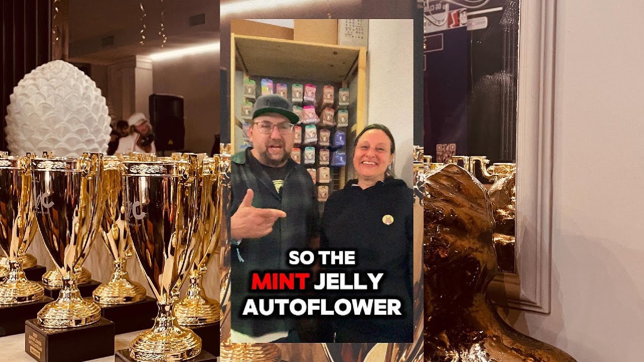 SlowPoke Fuegobud about Humboldt seeds