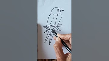Beautiful and easy parrot drawing with number 22