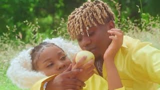 Rayvanny ft Zuchu  -  Number One  - (   music video )