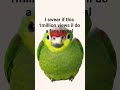#memes #amongus #comedy #funny #fypシ #viral #fyp