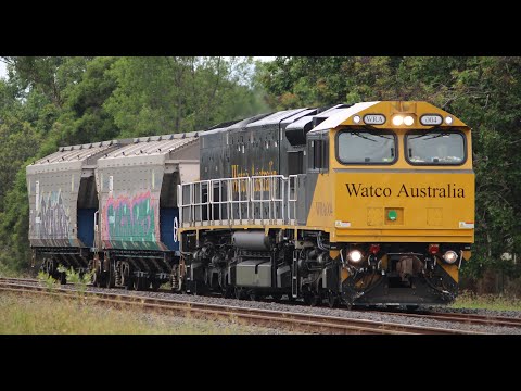 Watco 6E38 short grain train