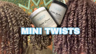 SUPER SOFT & MOISTURIZED MINI TWISTS USING YAYA’S CHEBE BUTTER & CREME | RETAIN LENGTH | Curly Tells screenshot 3