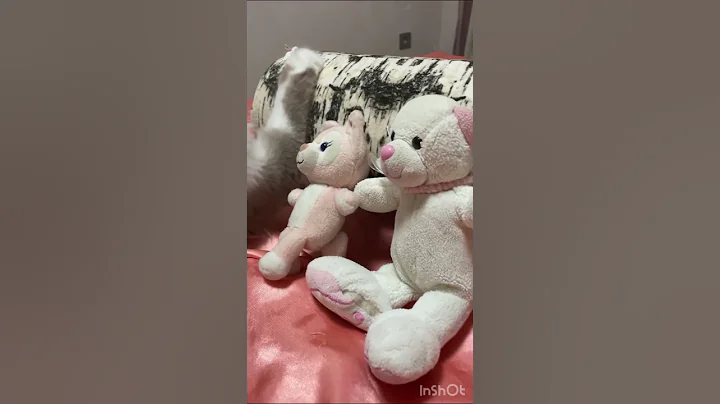 Watch the video about Highland Fold