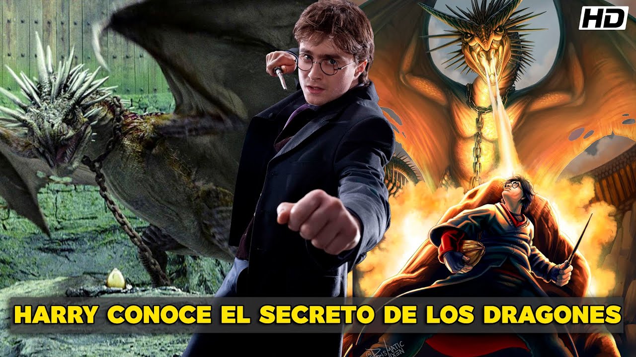 QHPS Harry Cambiaba El Torneo De Los Tres Magos Y Podía Hablar Con Dragones?