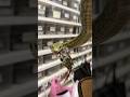 Snake attack🐍!!! #reptile #爬虫類 #reptiles