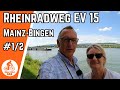 Viel Verkehr auf dem Rheinradweg [Eurovelo 15] | Mainz - Bingen