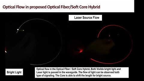Soft Optical Waveguide Sensors