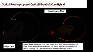 Soft Optical Waveguide Sensors