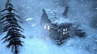 99% of You will Fall Asleep with WINTER SNOWSTORM SOUNDS | Feathered Polar Wind Veil 2026 screenshot 5