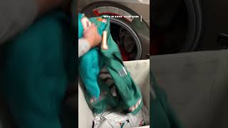 End Of Dolphins Season Say Goodbye