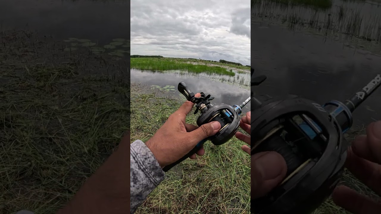 Reel daido predator pro 