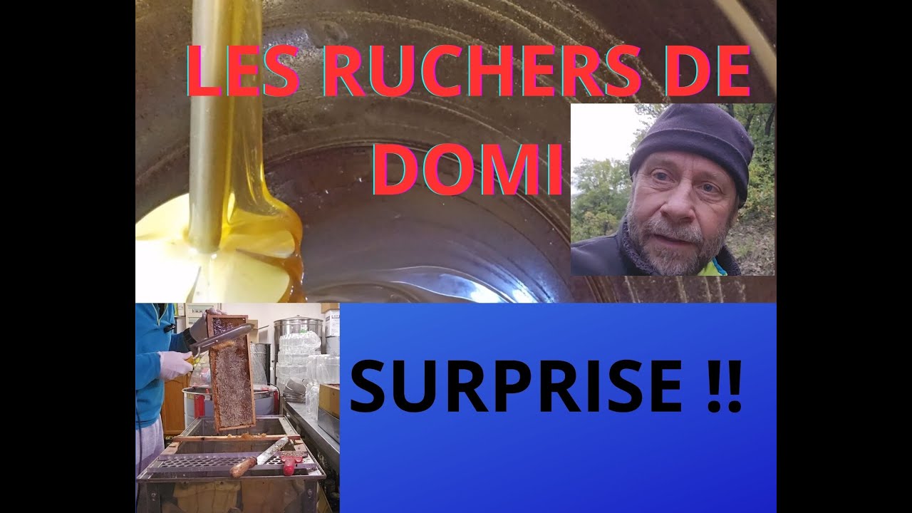 Saison 2 Épisode 32. Aujourd’hui c’est miel crémeux et extraction du miel.
