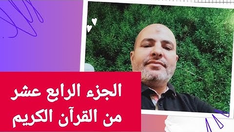 الجزء الرابع عشر سورة الحجر والنحل