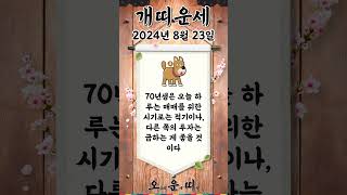 오늘의 개띠 운세 2024년 8월 23일 #개띠 #오늘의운세 #내일의운세 #운세 #운세쇼츠