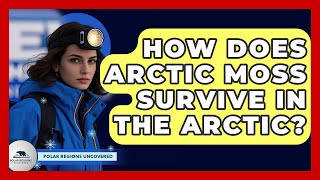 How Does Arctic Moss Survive In The Arctic? - Polar Regions Uncovered