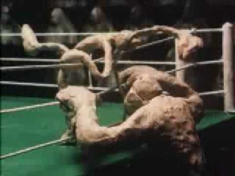 Boxing cartoon