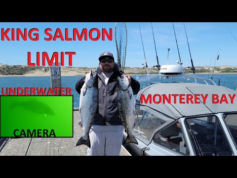 UNDERWATER Camera Salmon Hookups | 1st Salmon LIMIT 2021 | Monterey Bay