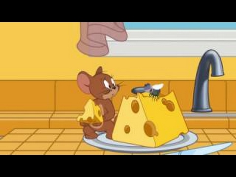 I Love Cheese | The Tom & Jerry Show | Cartoon World - YouTube