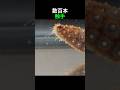 ヒトデの数百本の脚