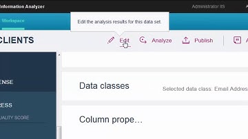 IBM InfoSphere Information Analyzer  Analyzing Data Quality and Risk with the Thin Client