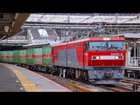 eh500 金太郎　プレート　貨物列車 たまには金太郎も撮ってみる #eh500 #貨物列車