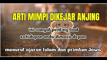arti mimpi dikejar anjing menurut primbon Jawa dan ajaran Islam