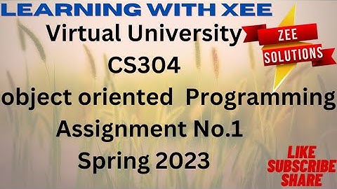 CS304 Assignment 1 spring 2023 virtual University of pakistan