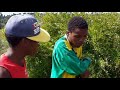 UTHANDO OLUNGANAMKHAWULO ZULU MOVIE (SUBSCRIBE FOR MORE)