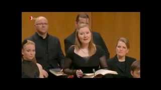 J. S. Bach - Aus Liebe will mein Heiland sterben - Herreweghe - chords
