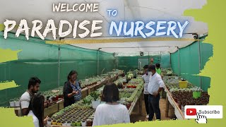 Biggest Nursery of South Sikkim || Paradise Nursery || Episode - 6