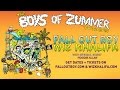 The Boys of Zummer Tour 2015 - Fall Out Boy & Wiz Khalifa w/ Hoodie Allen