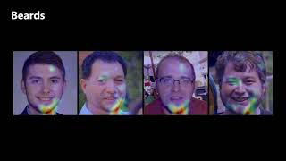 Visual Chirality