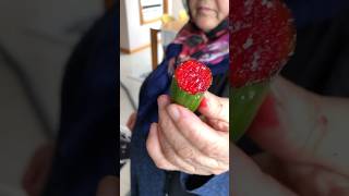 SALATALIĞA ŞEKER DÖKEREK KARPUZ YAPABİLİRSİNİZ! #hayriyeanane #shorts