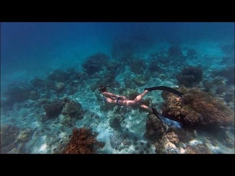 Video: Ano Ang Freediving At Paano Ito Kapaki-pakinabang?