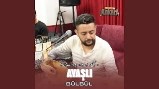 Bülbül Resimi