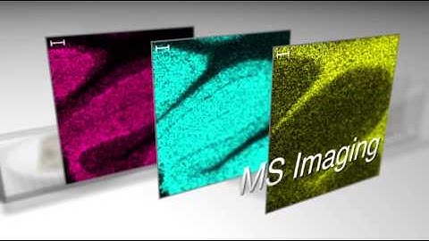 iMScope TRIO Imaging Mass Microscope