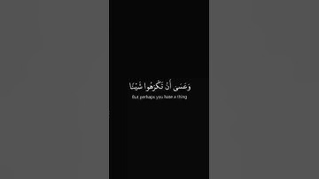 ﴿وَعَسَى أَنْ تَكْرَهُوا شَيْئًا وَهُوَ خَيْرٌ لَكُمْ﴾ الايةُ216| سورةُ البقرة،