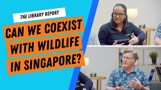 Can We Coexist With Wildlife in Singapore? | The Library Report #42